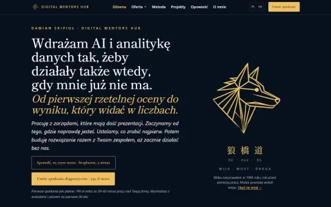 Zrzut ekranu strony głównej digitalmentorshub.com